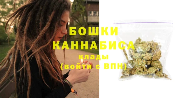 mdpv Ельня