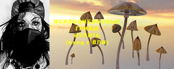 а пвп мука Елабуга