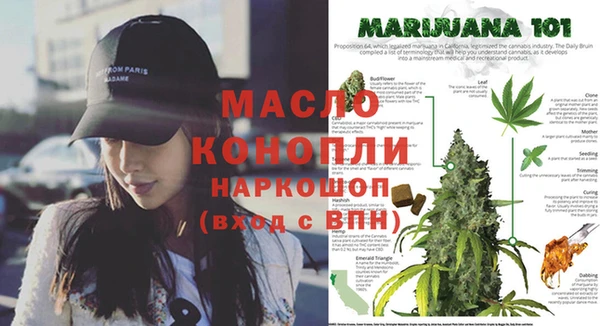 mdpv Ельня