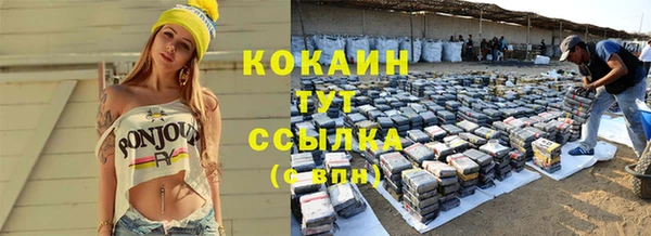 mdpv Ельня