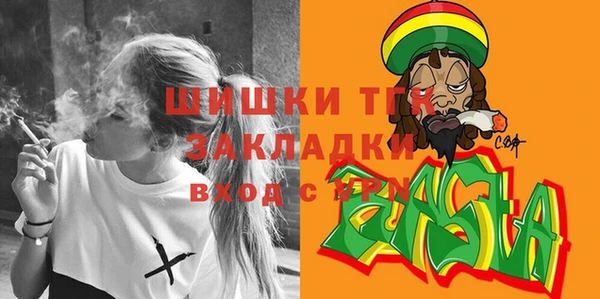 mdpv Ельня