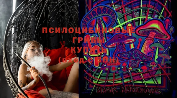 mdpv Ельня