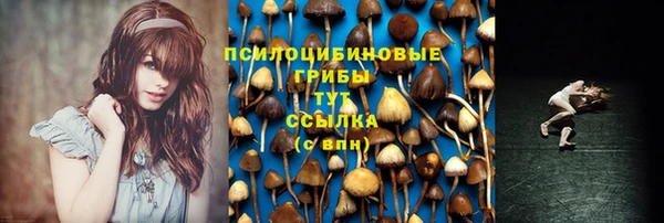 mdpv Ельня